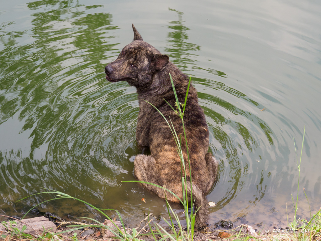 f:id:OKP:20191106112728j:plain