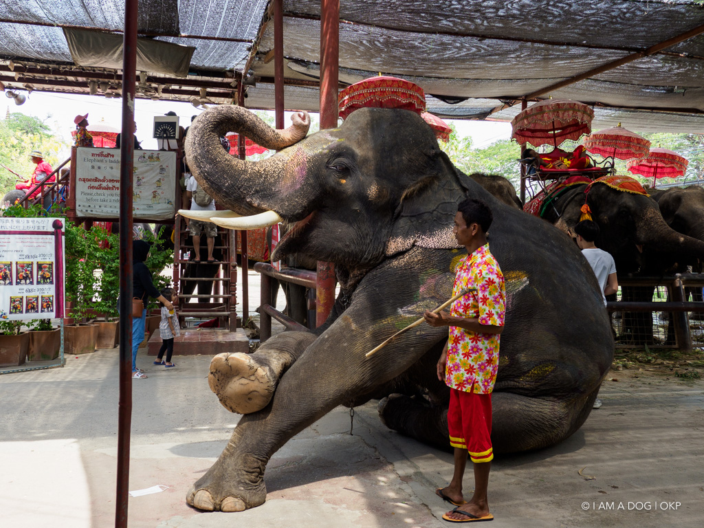 f:id:OKP:20191106112738j:plain