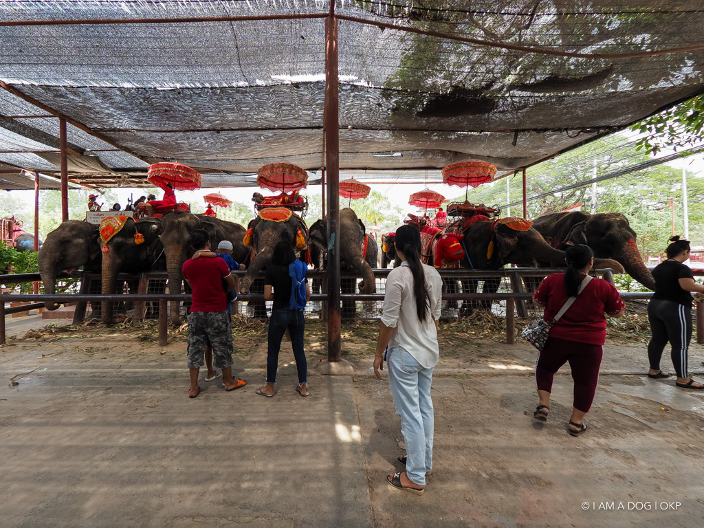 f:id:OKP:20191106112743j:plain