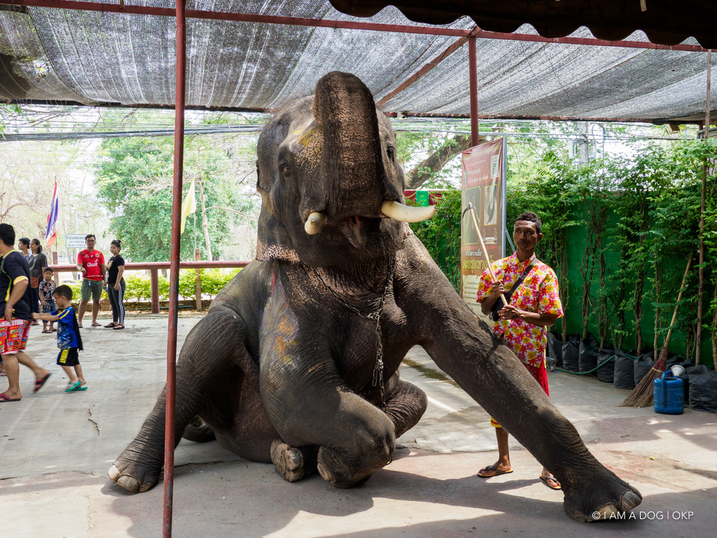 f:id:OKP:20191106112748j:plain