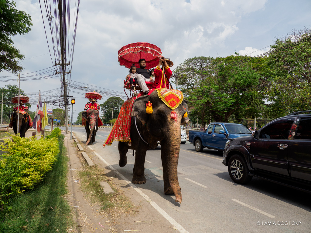 f:id:OKP:20191106113331j:plain