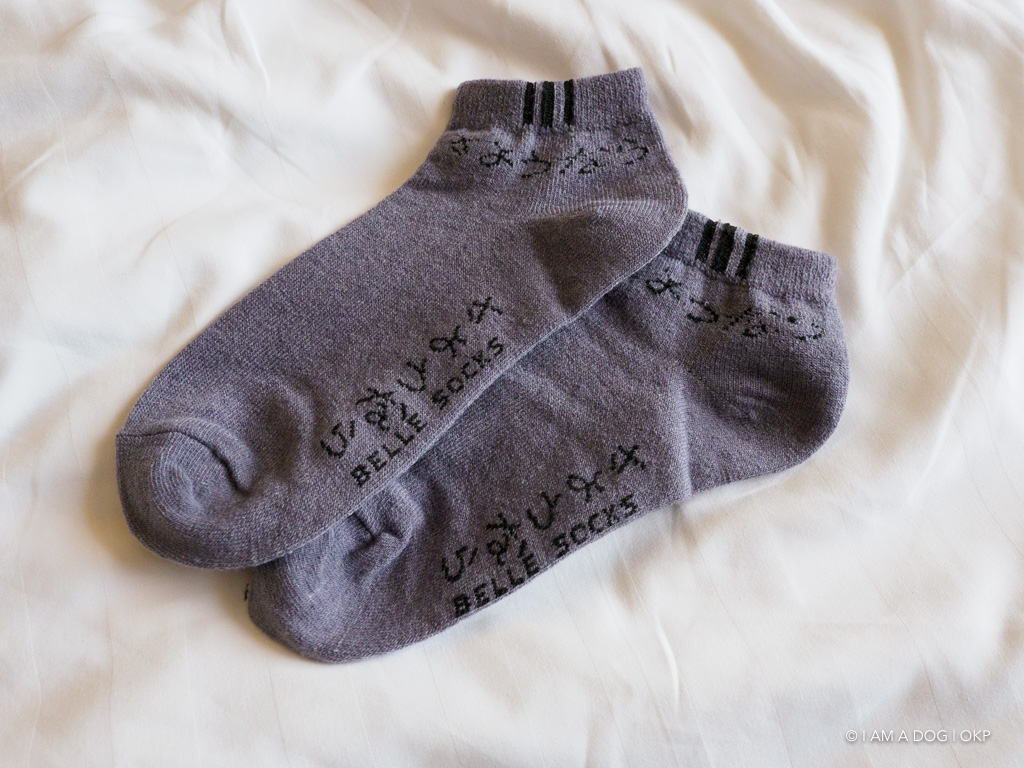 f:id:OKP:20191106113819j:plain