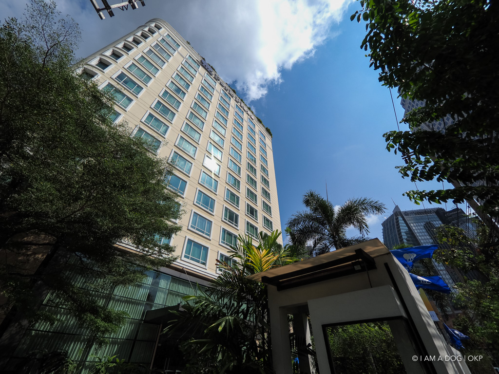 f:id:OKP:20191106113847j:plain