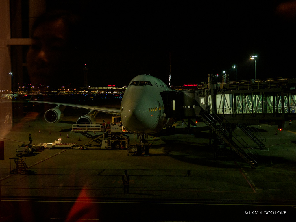 f:id:OKP:20191106114023j:plain