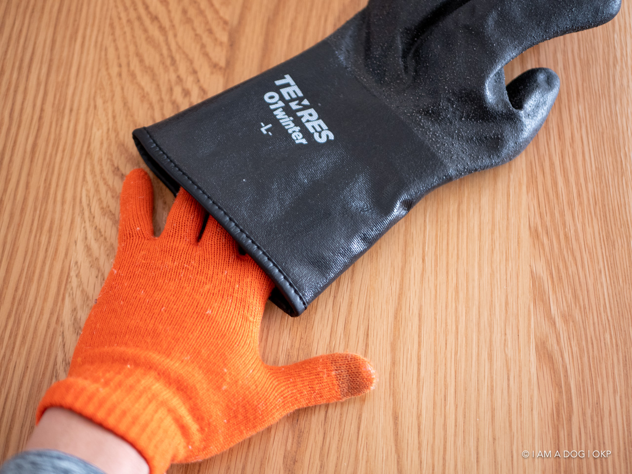 f:id:OKP:20191129165939j:plain