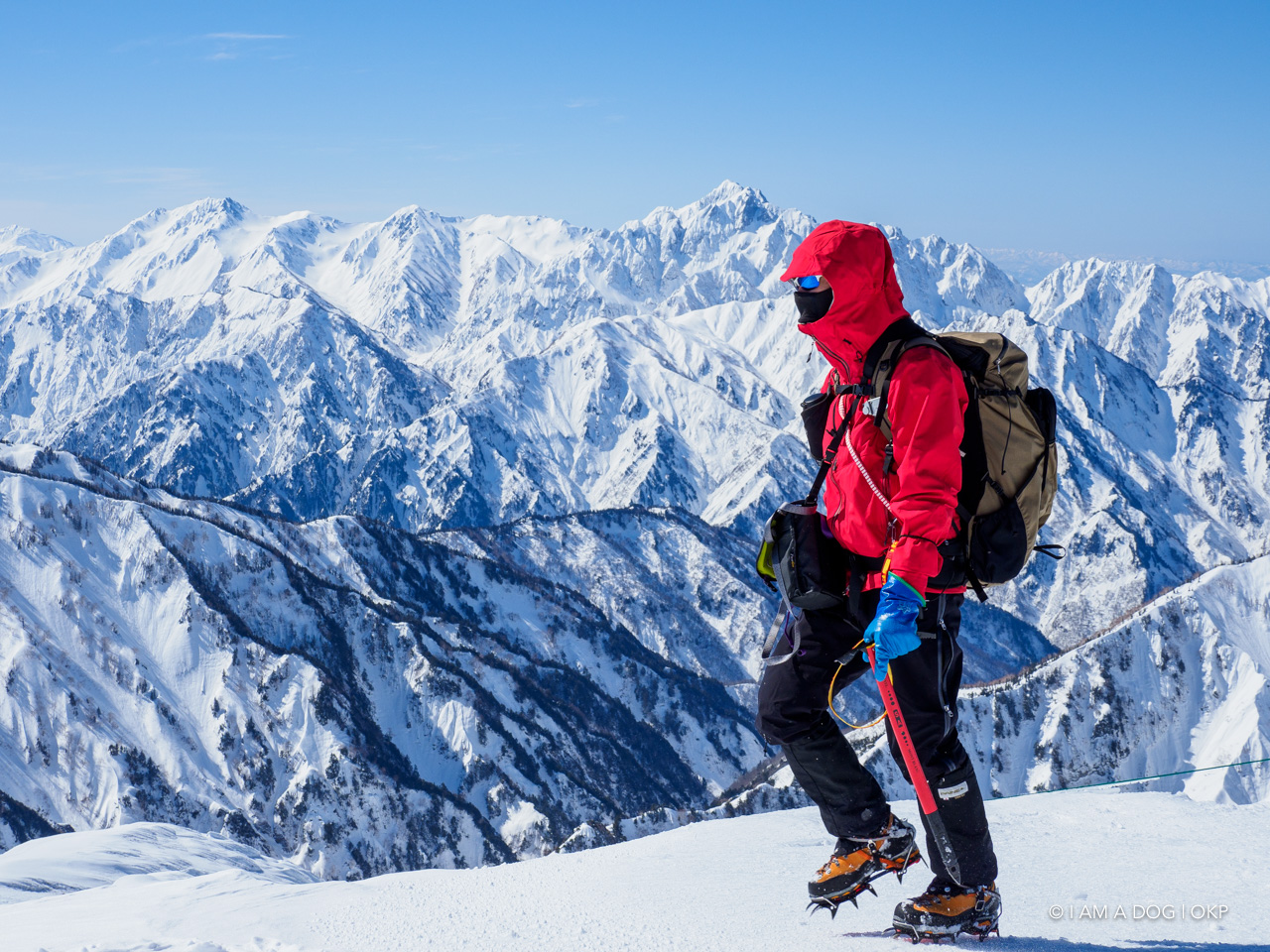 f:id:OKP:20191129170926j:plain