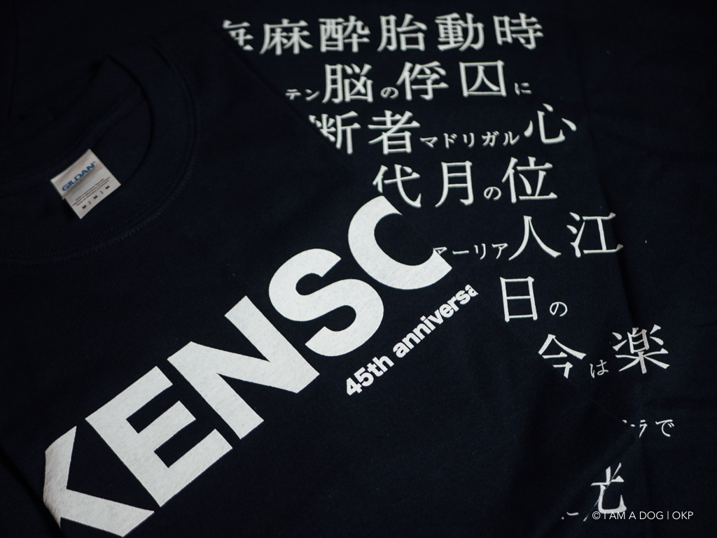 f:id:OKP:20191210132210j:plain