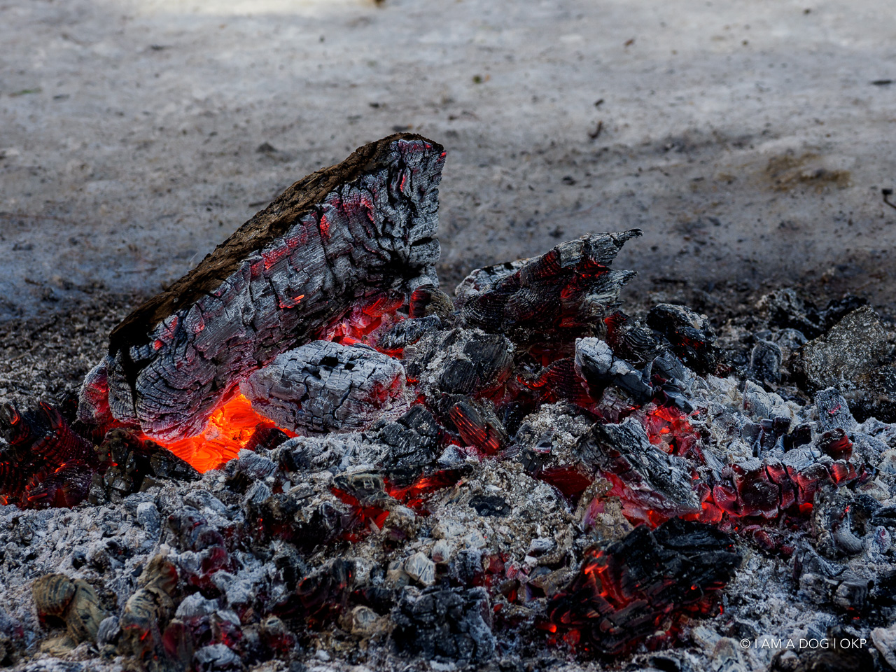 f:id:OKP:20200107143915j:plain