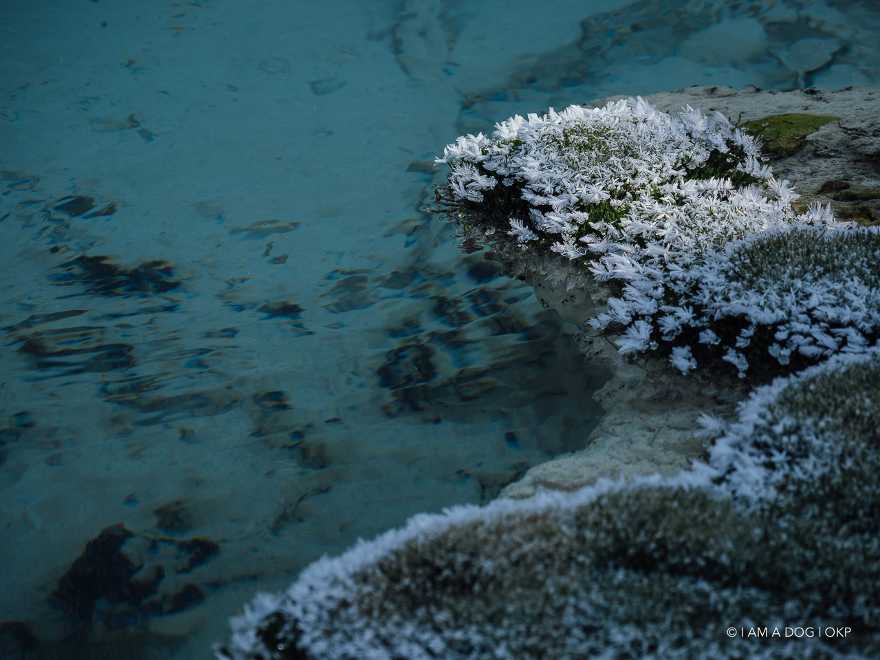 f:id:OKP:20200107143921j:plain