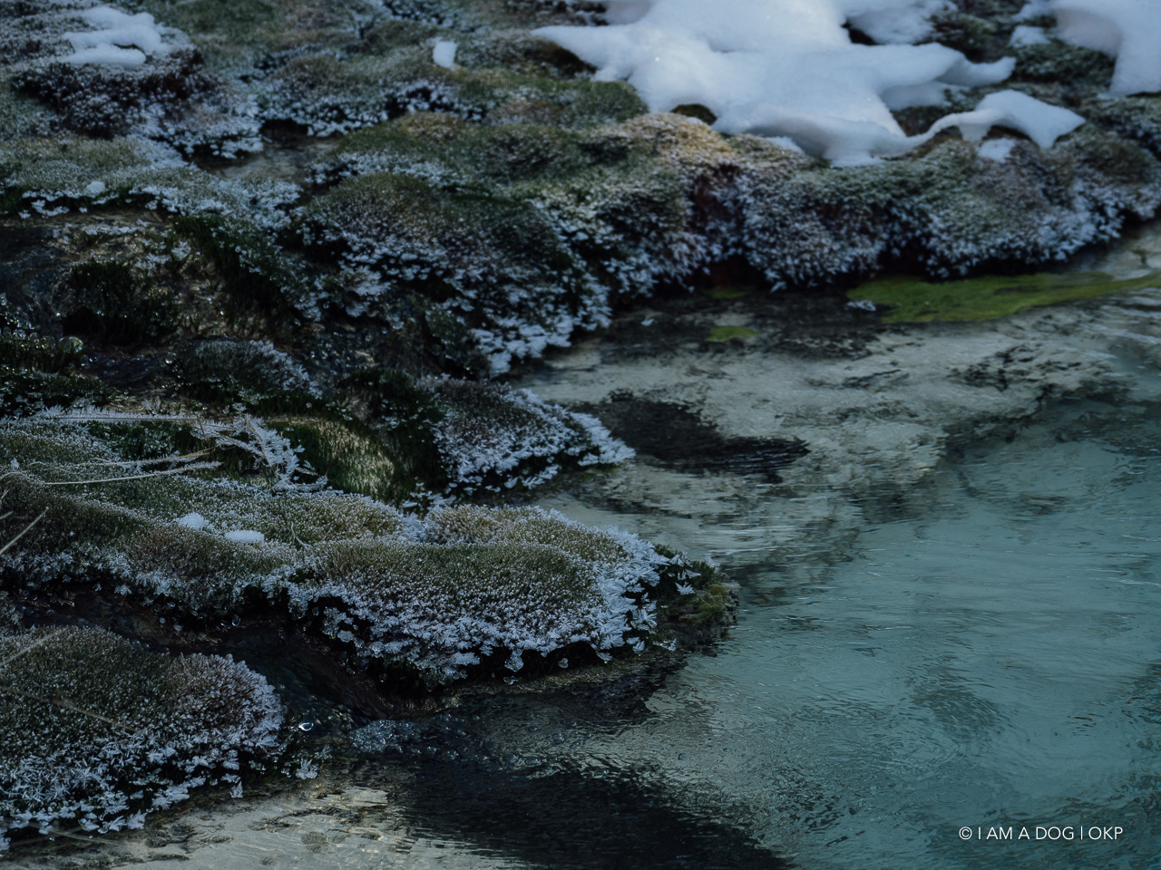 f:id:OKP:20200107143925j:plain