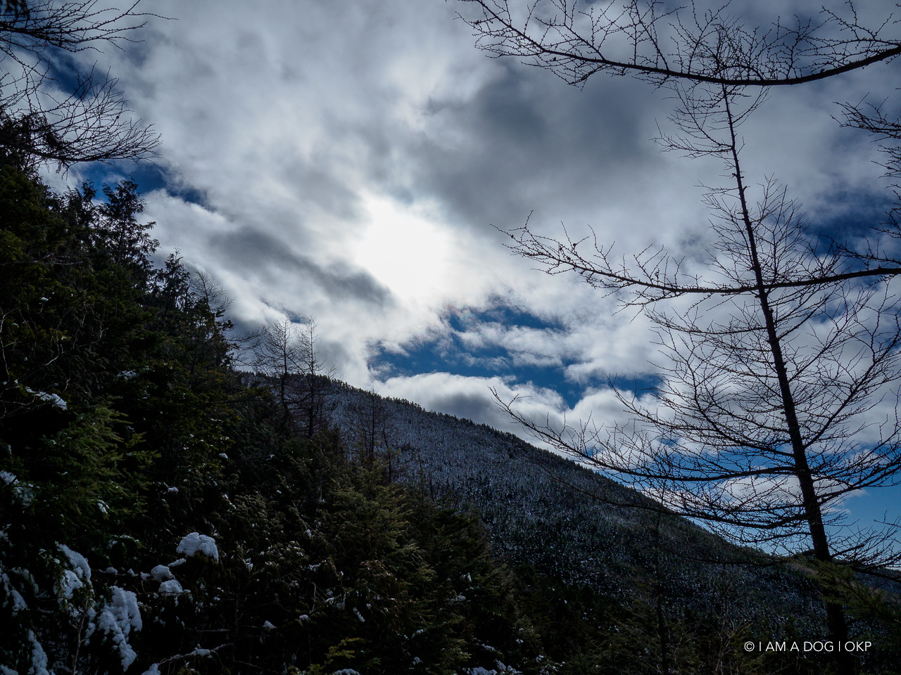 f:id:OKP:20200107143930j:plain