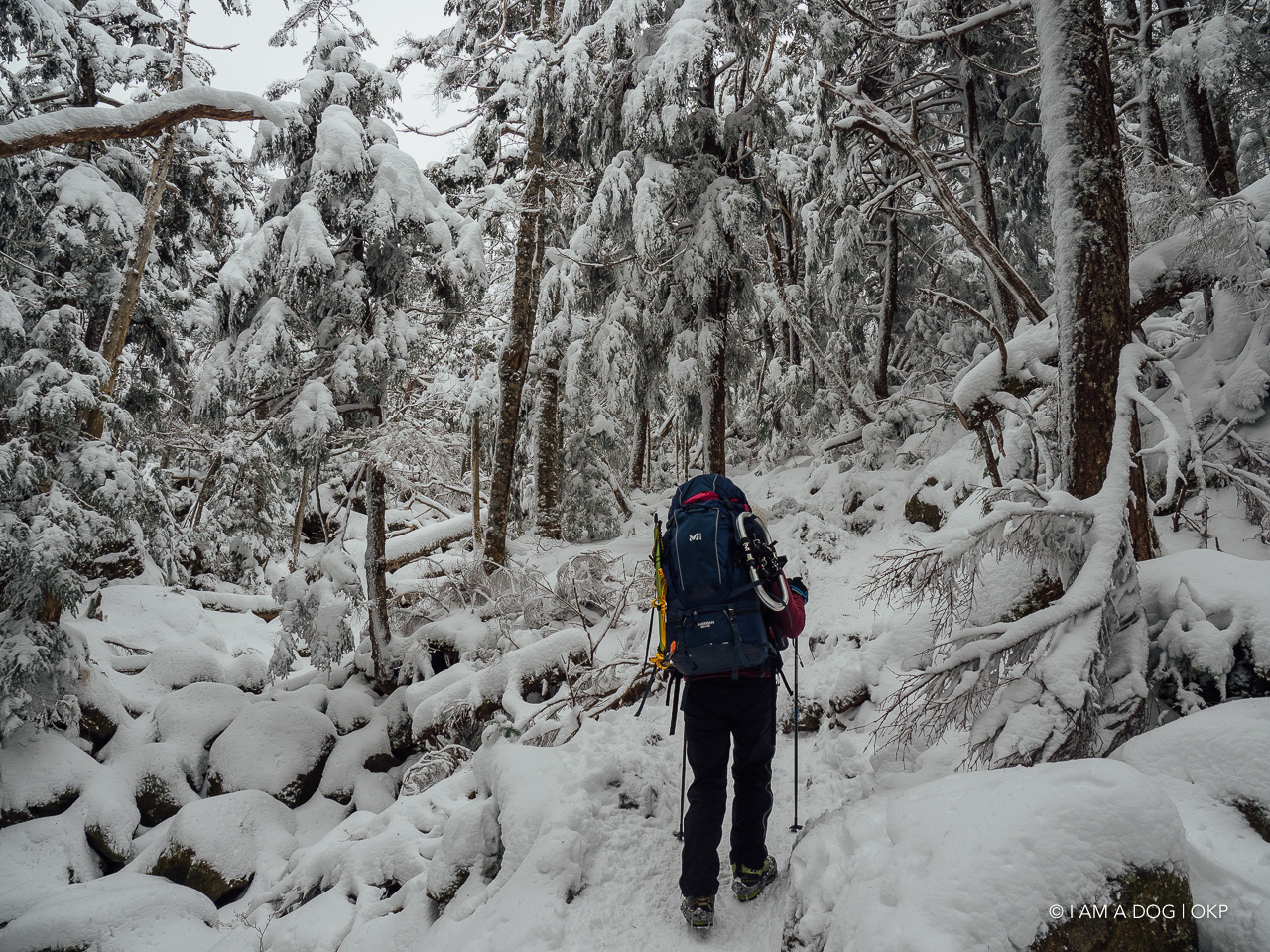 f:id:OKP:20200107143935j:plain