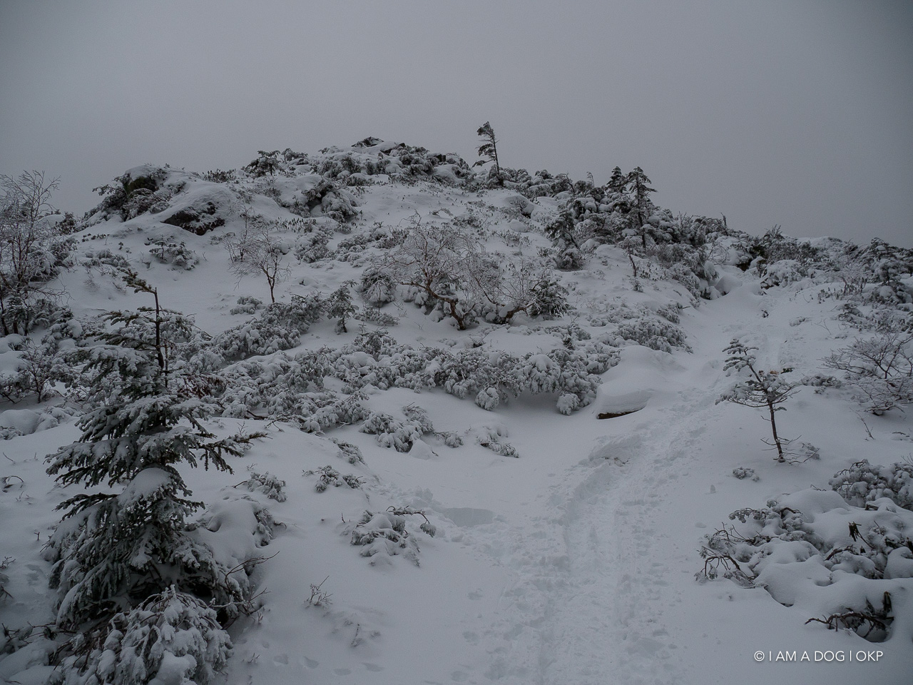 f:id:OKP:20200107143957j:plain