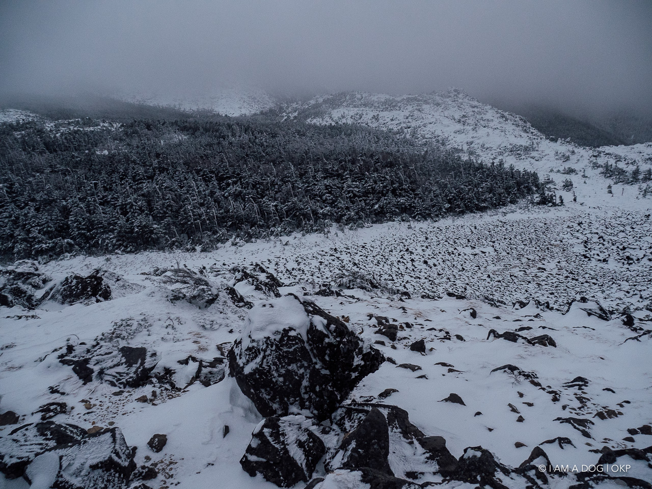 f:id:OKP:20200107144002j:plain