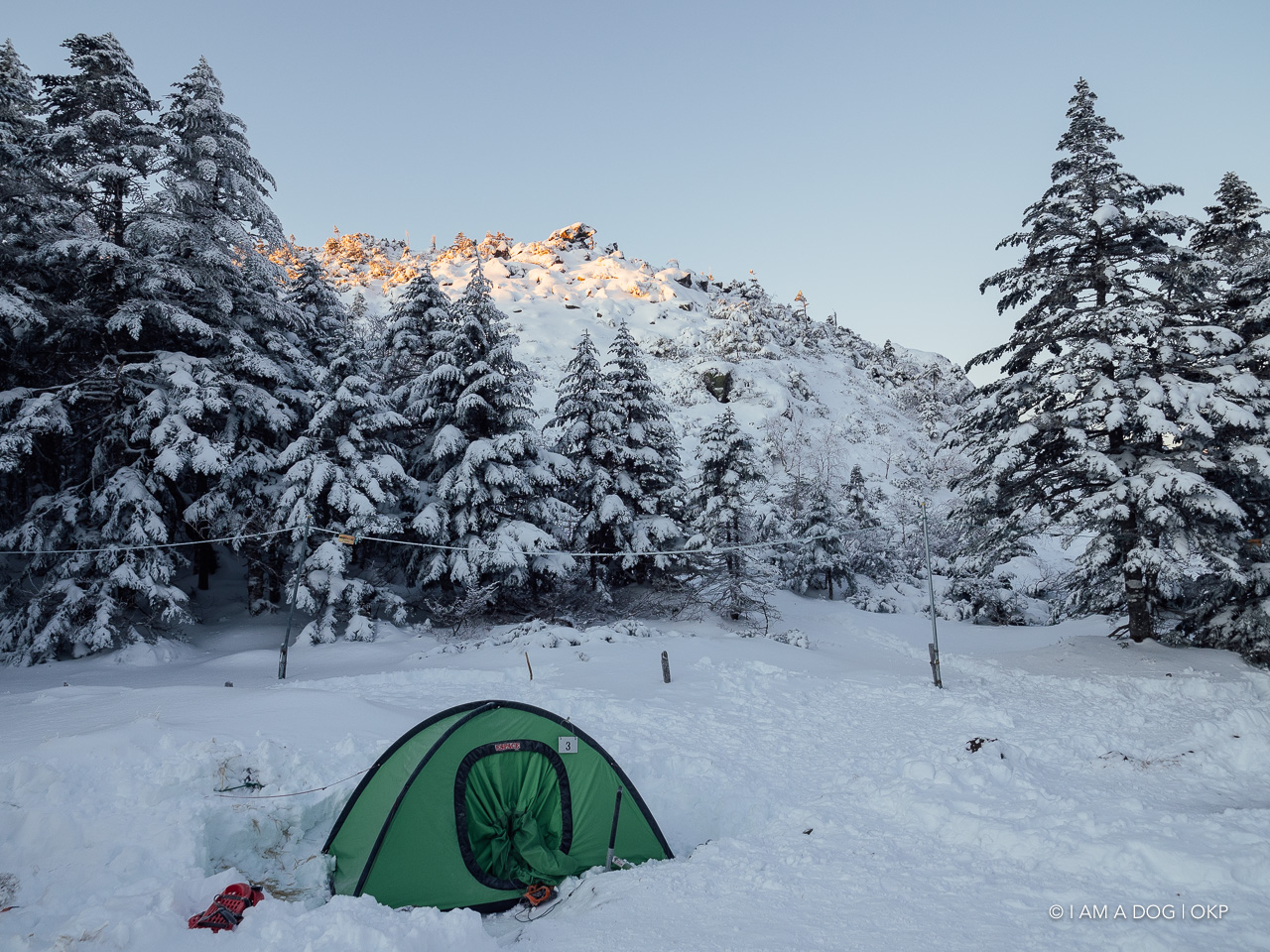 f:id:OKP:20200107144027j:plain