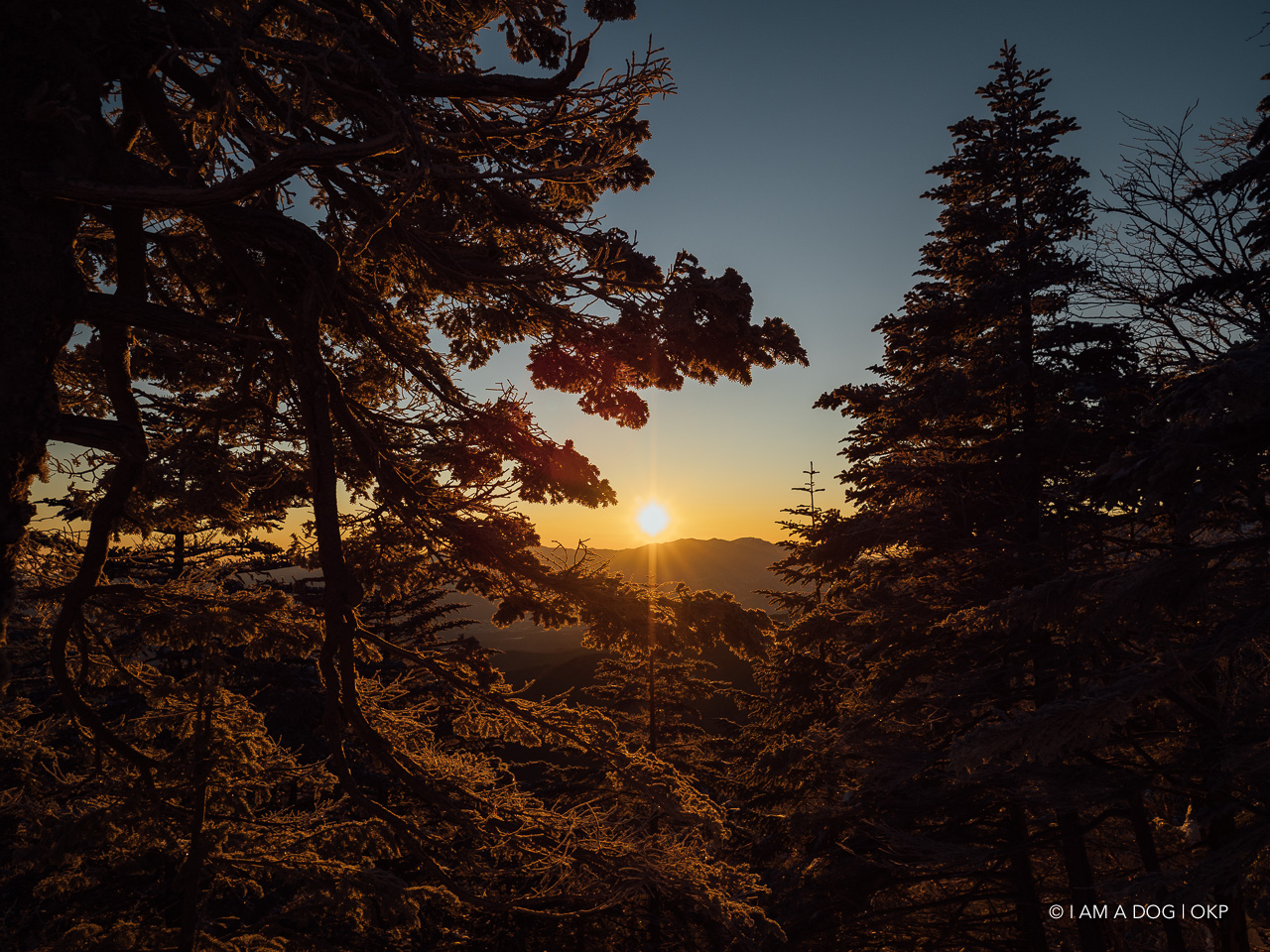 f:id:OKP:20200107144033j:plain