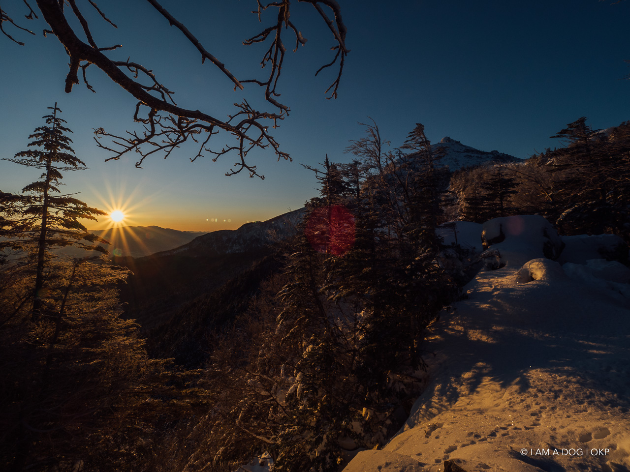 f:id:OKP:20200107144039j:plain