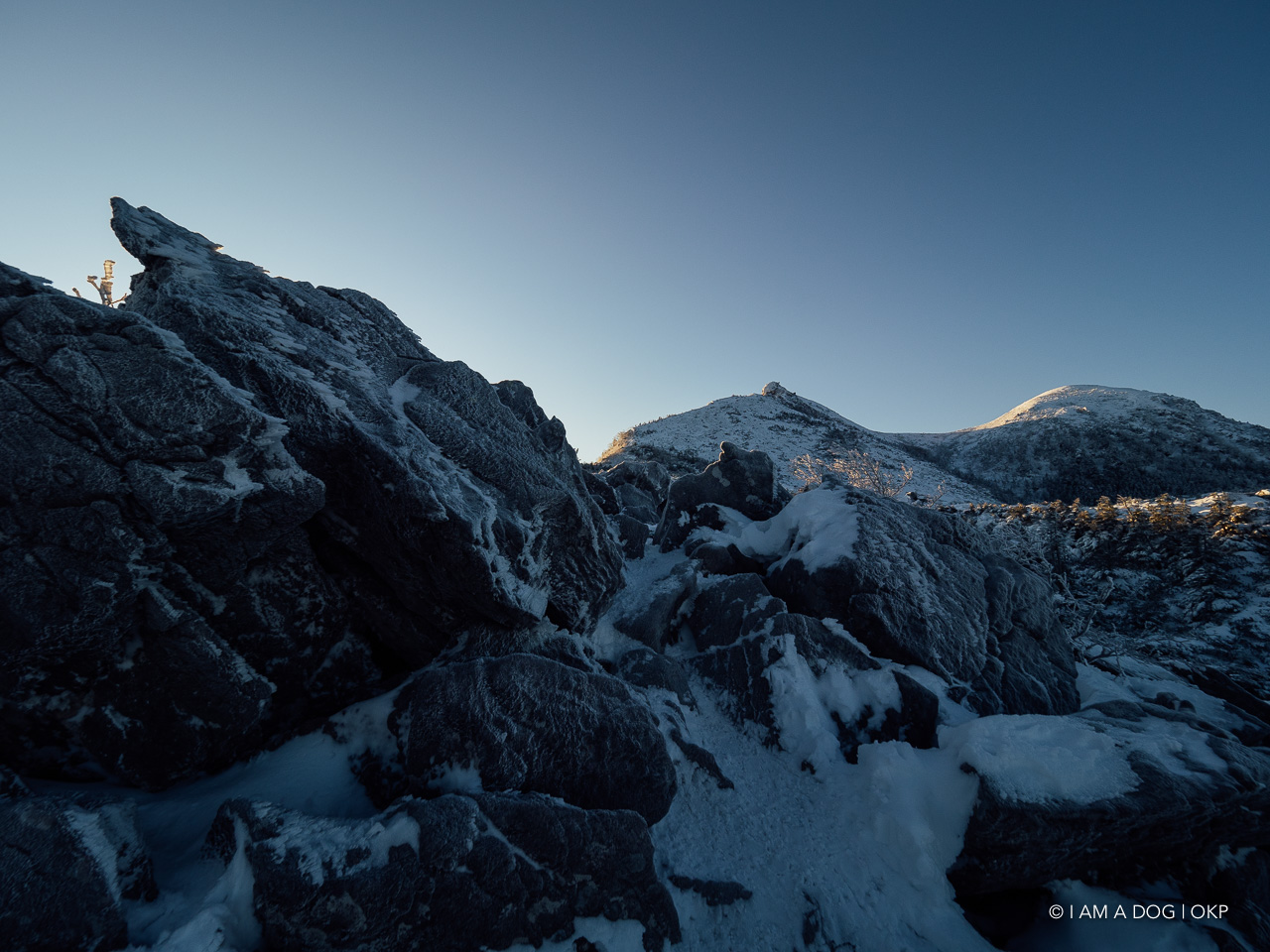 f:id:OKP:20200107144049j:plain