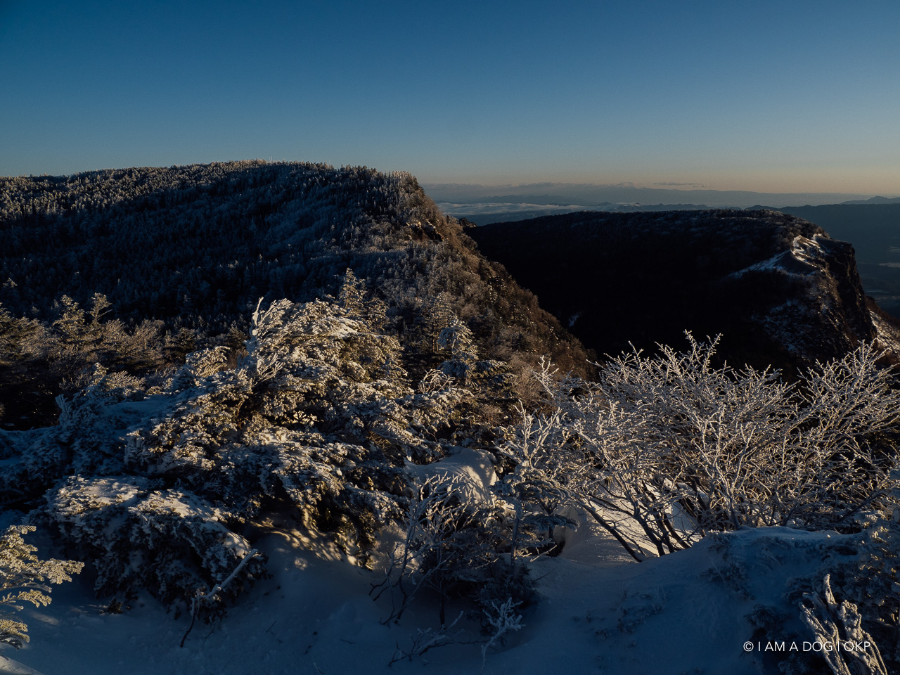 f:id:OKP:20200107144054j:plain