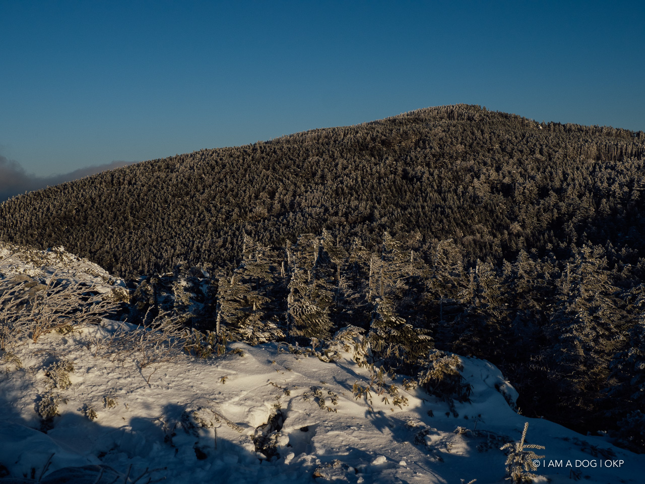 f:id:OKP:20200107144100j:plain