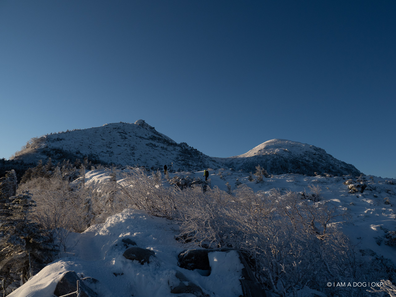 f:id:OKP:20200107144109j:plain