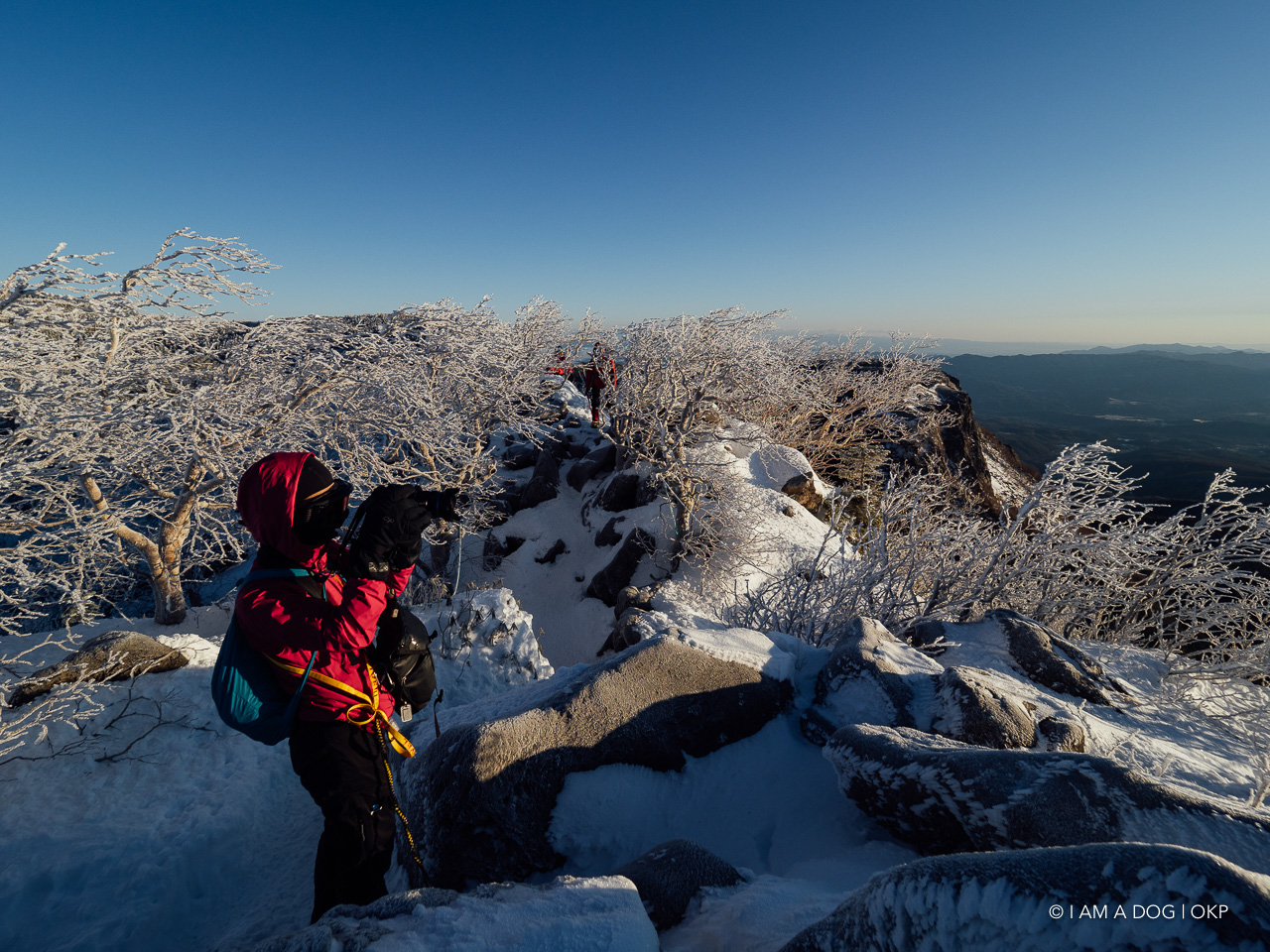 f:id:OKP:20200107144116j:plain