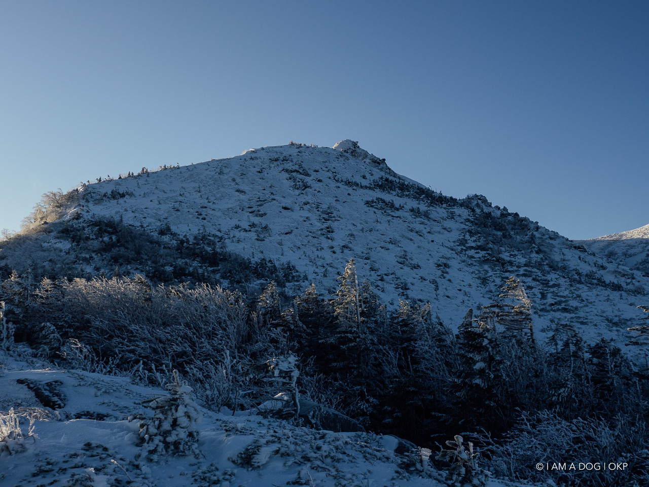 f:id:OKP:20200107144121j:plain