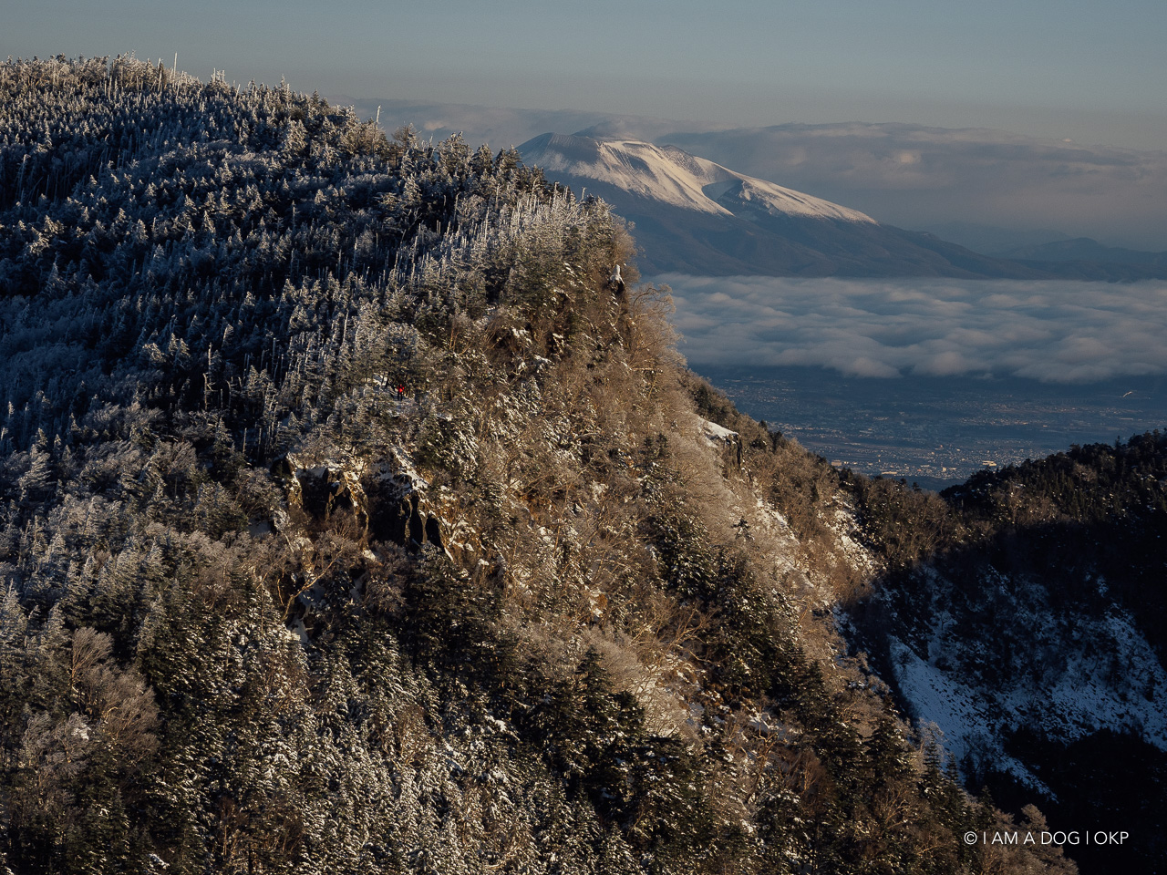 f:id:OKP:20200107144132j:plain