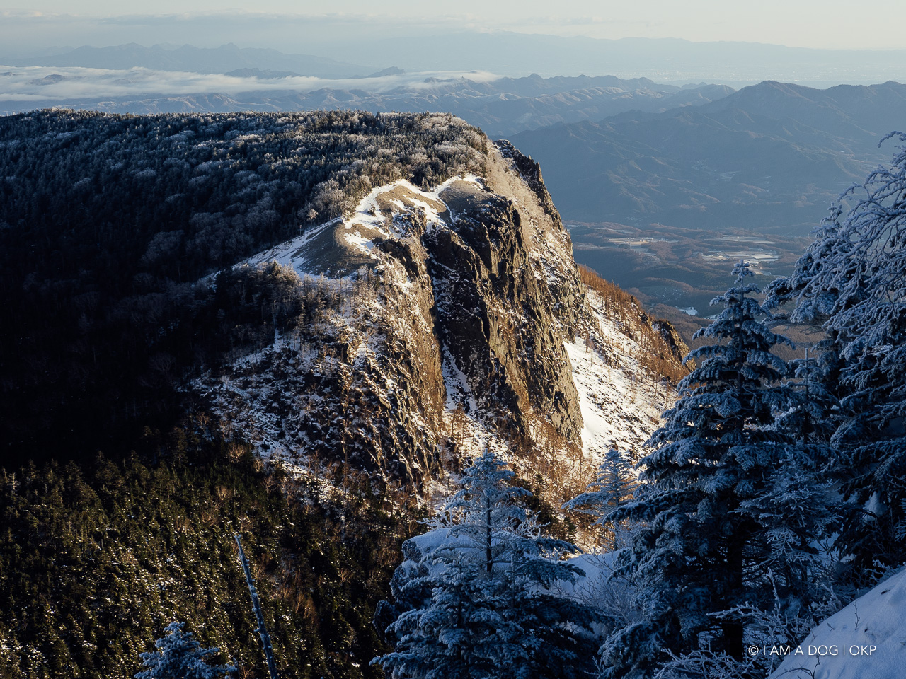 f:id:OKP:20200107144137j:plain