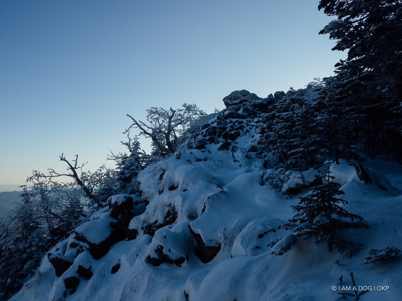 f:id:OKP:20200107144143j:plain