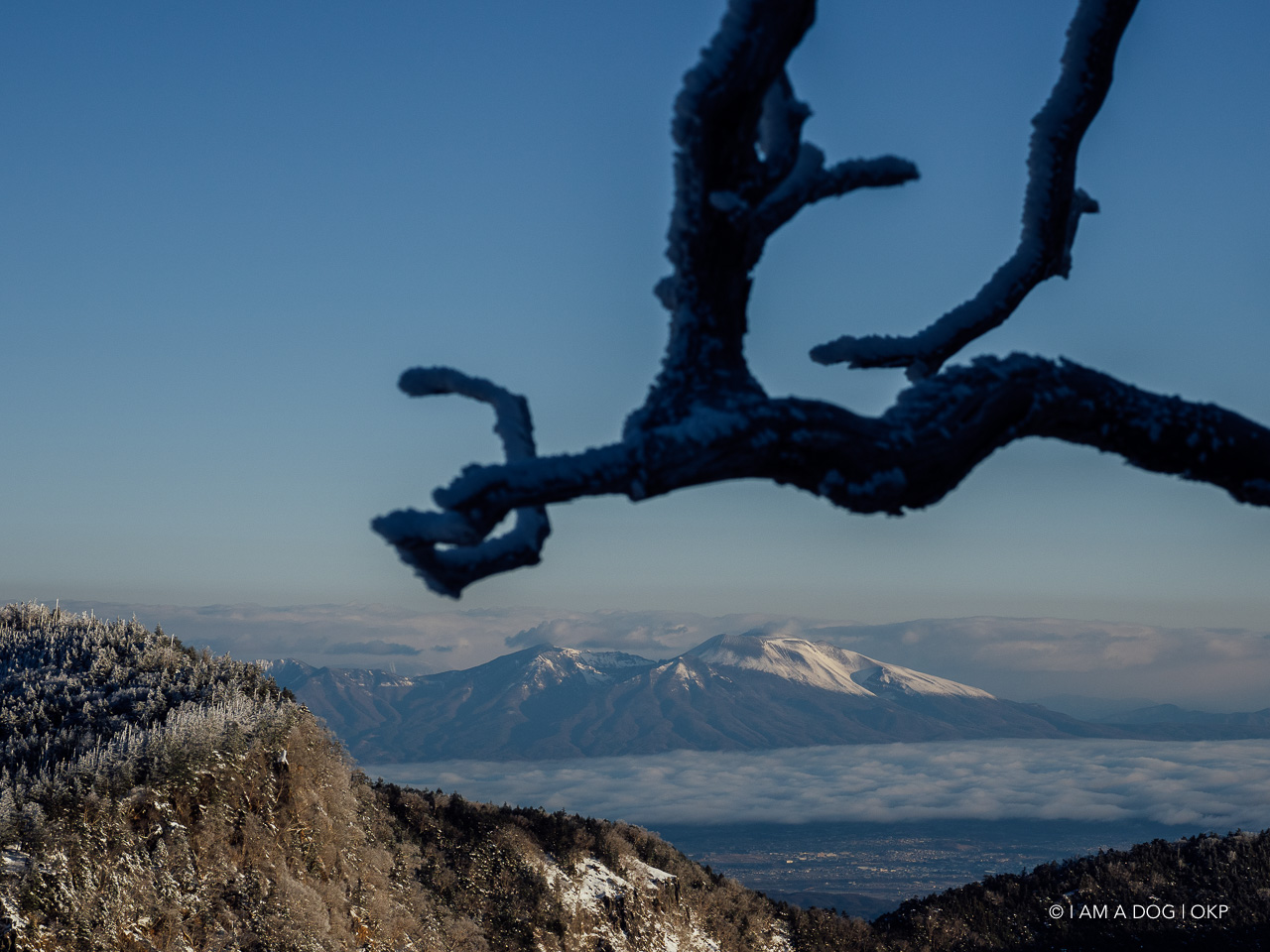 f:id:OKP:20200107144147j:plain