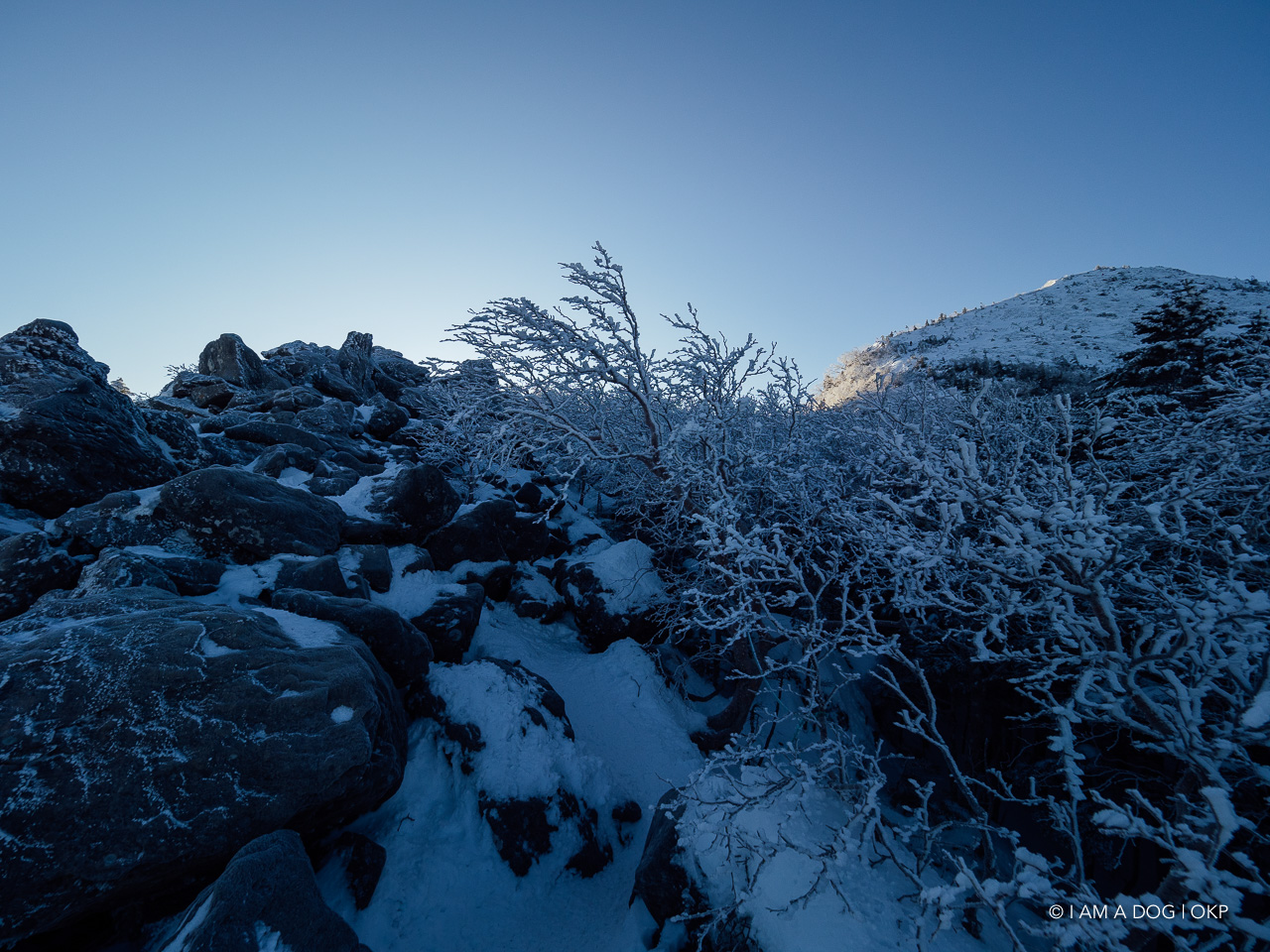 f:id:OKP:20200107144152j:plain