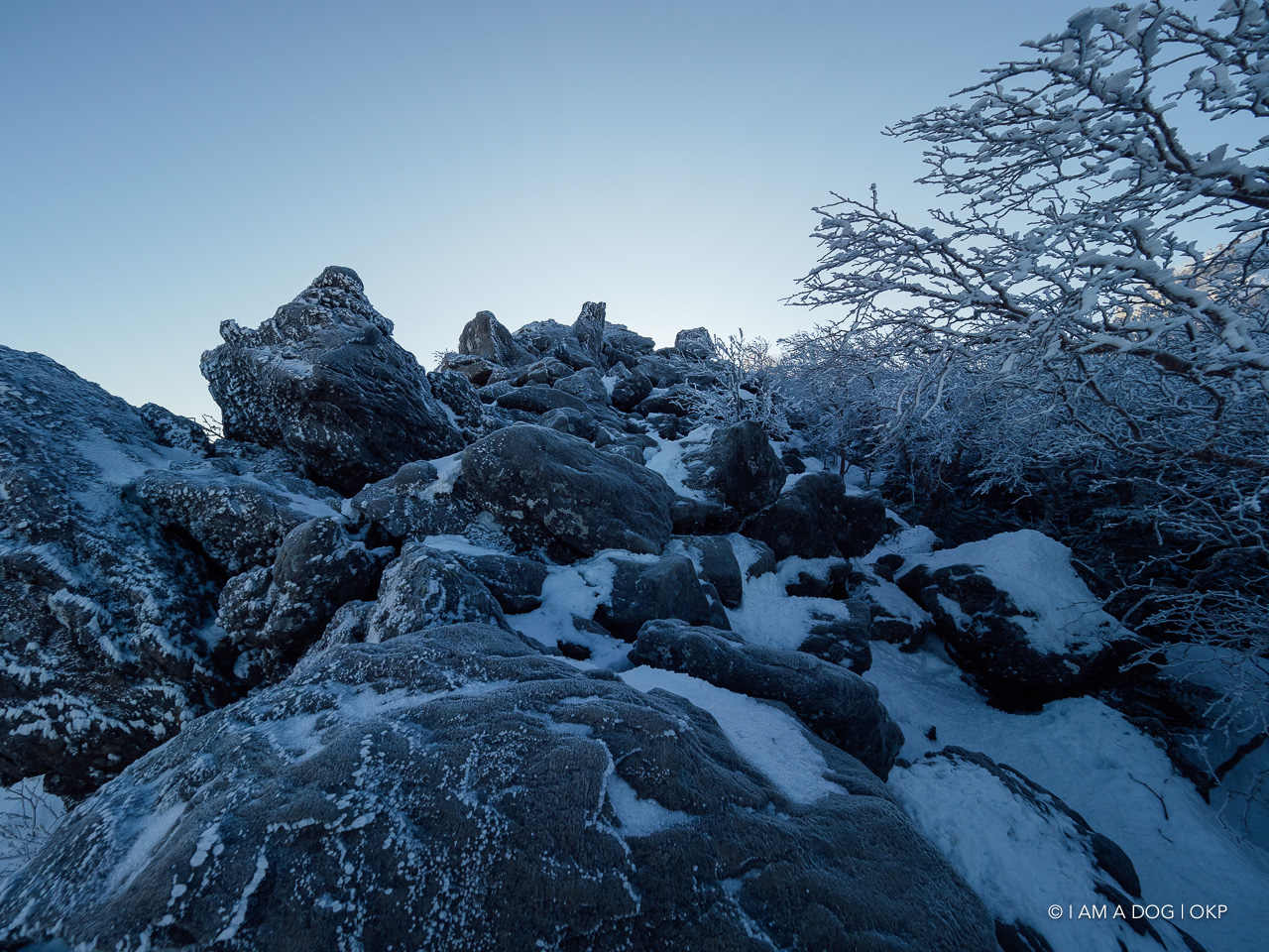 f:id:OKP:20200107144157j:plain