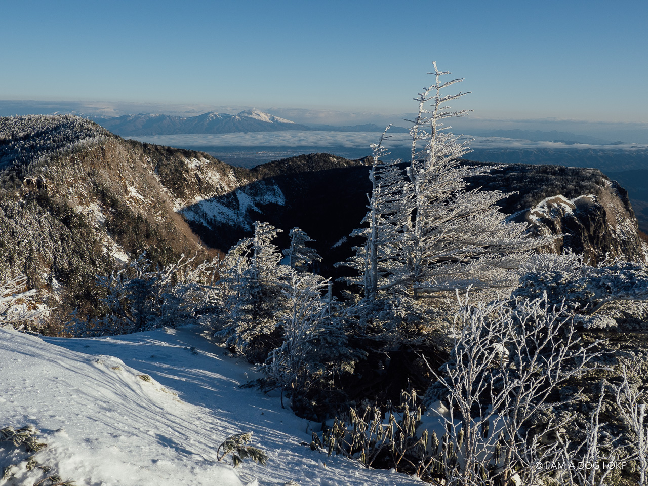 f:id:OKP:20200107144202j:plain