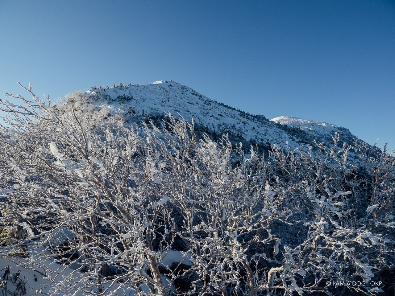 f:id:OKP:20200107144207j:plain