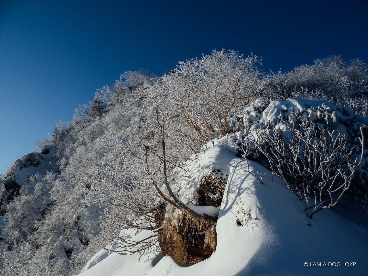 f:id:OKP:20200107144216j:plain