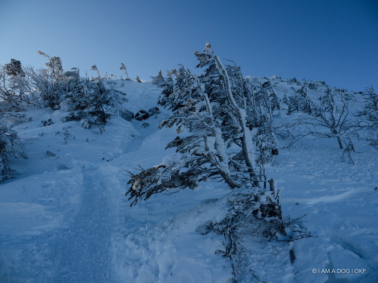 f:id:OKP:20200107144232j:plain