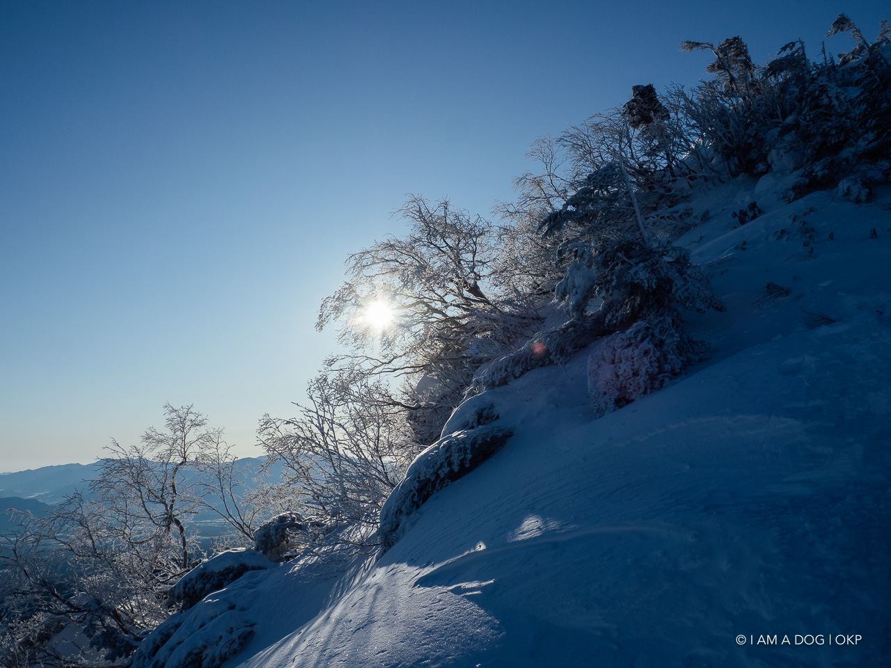 f:id:OKP:20200107144238j:plain