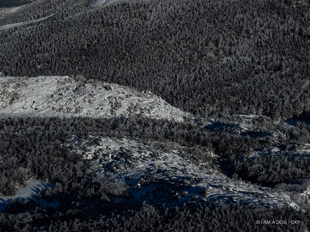 f:id:OKP:20200107144245j:plain