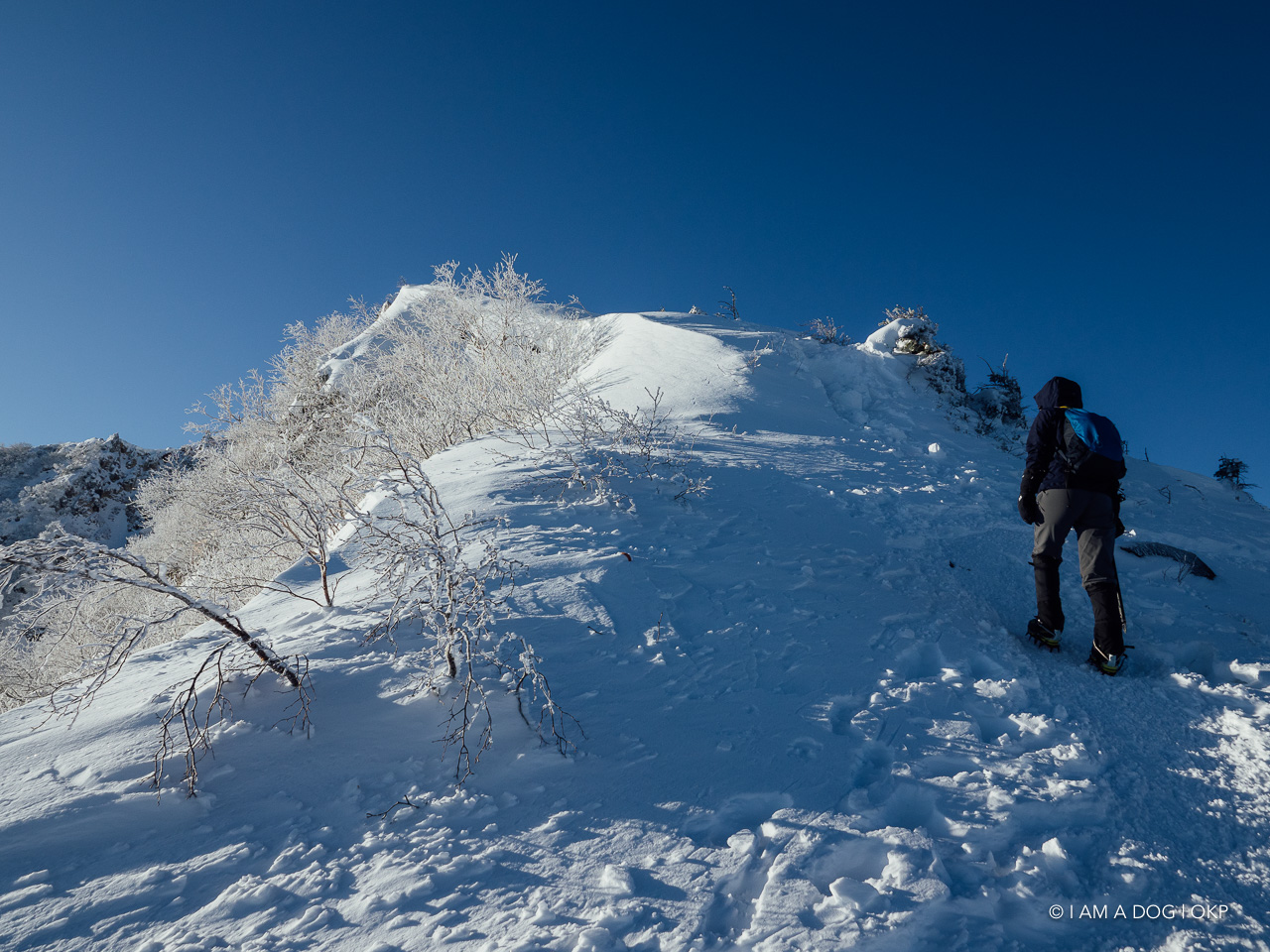 f:id:OKP:20200107144250j:plain