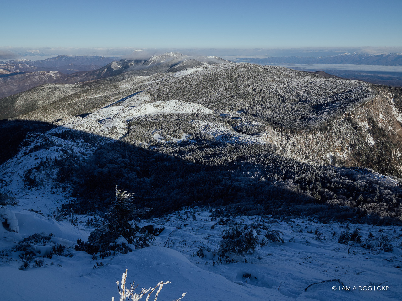 f:id:OKP:20200107144256j:plain