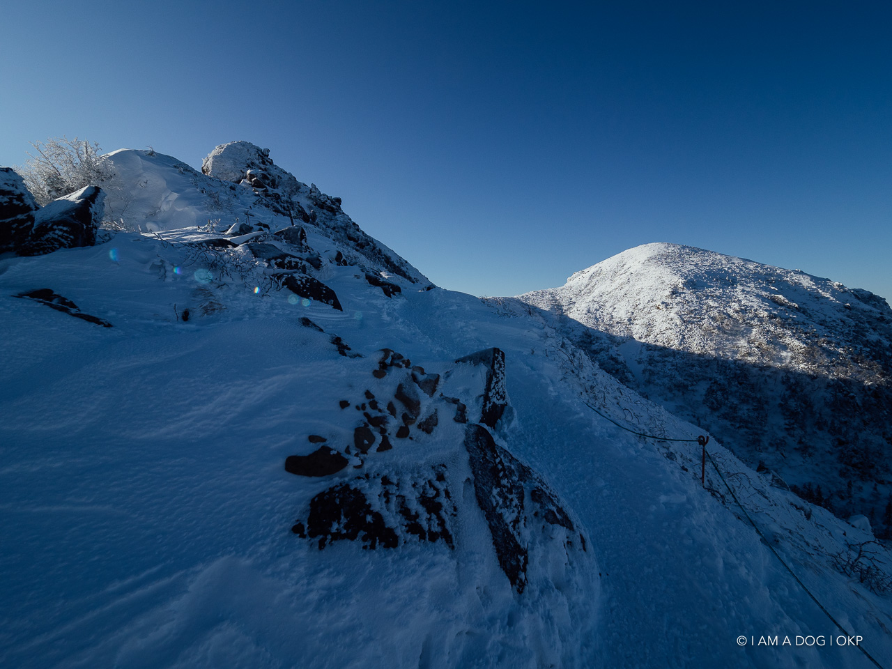 f:id:OKP:20200107144301j:plain