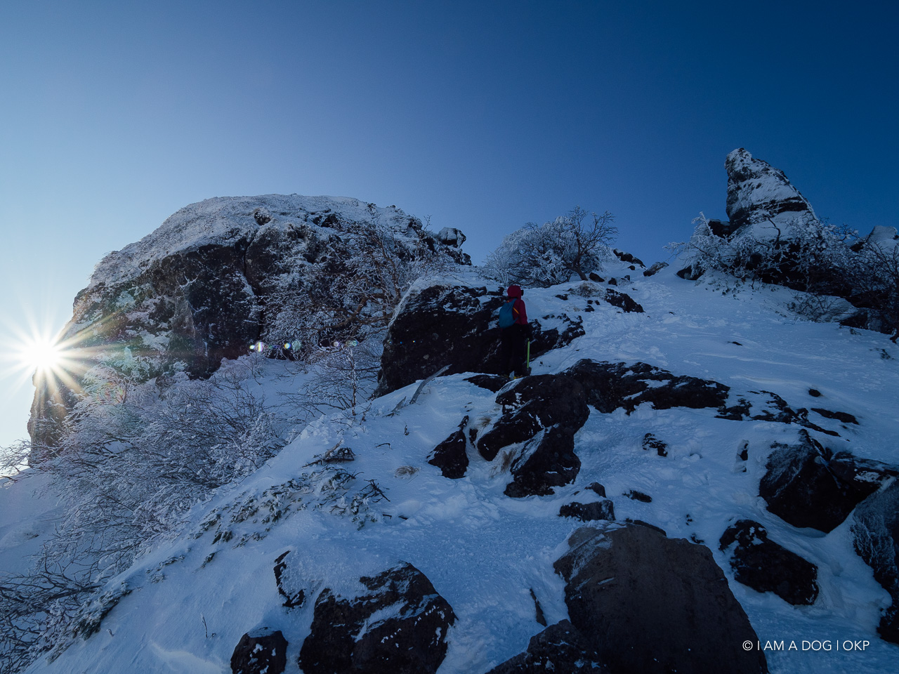 f:id:OKP:20200107144306j:plain