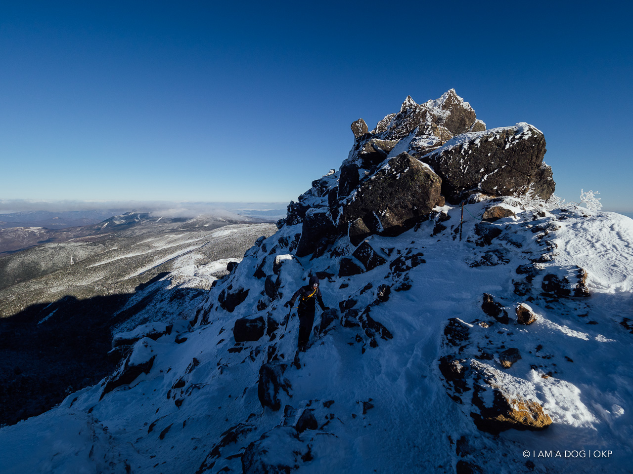 f:id:OKP:20200107144318j:plain