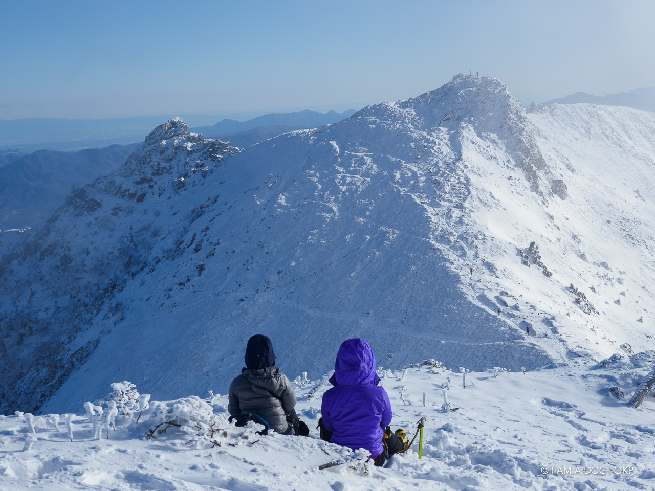 f:id:OKP:20200107144401j:plain