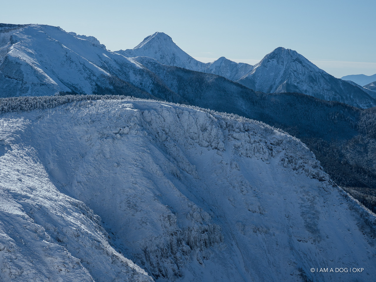 f:id:OKP:20200107144446j:plain