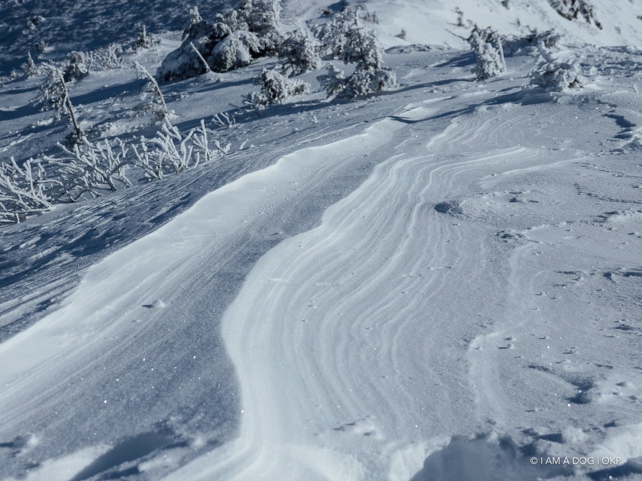 f:id:OKP:20200107144451j:plain