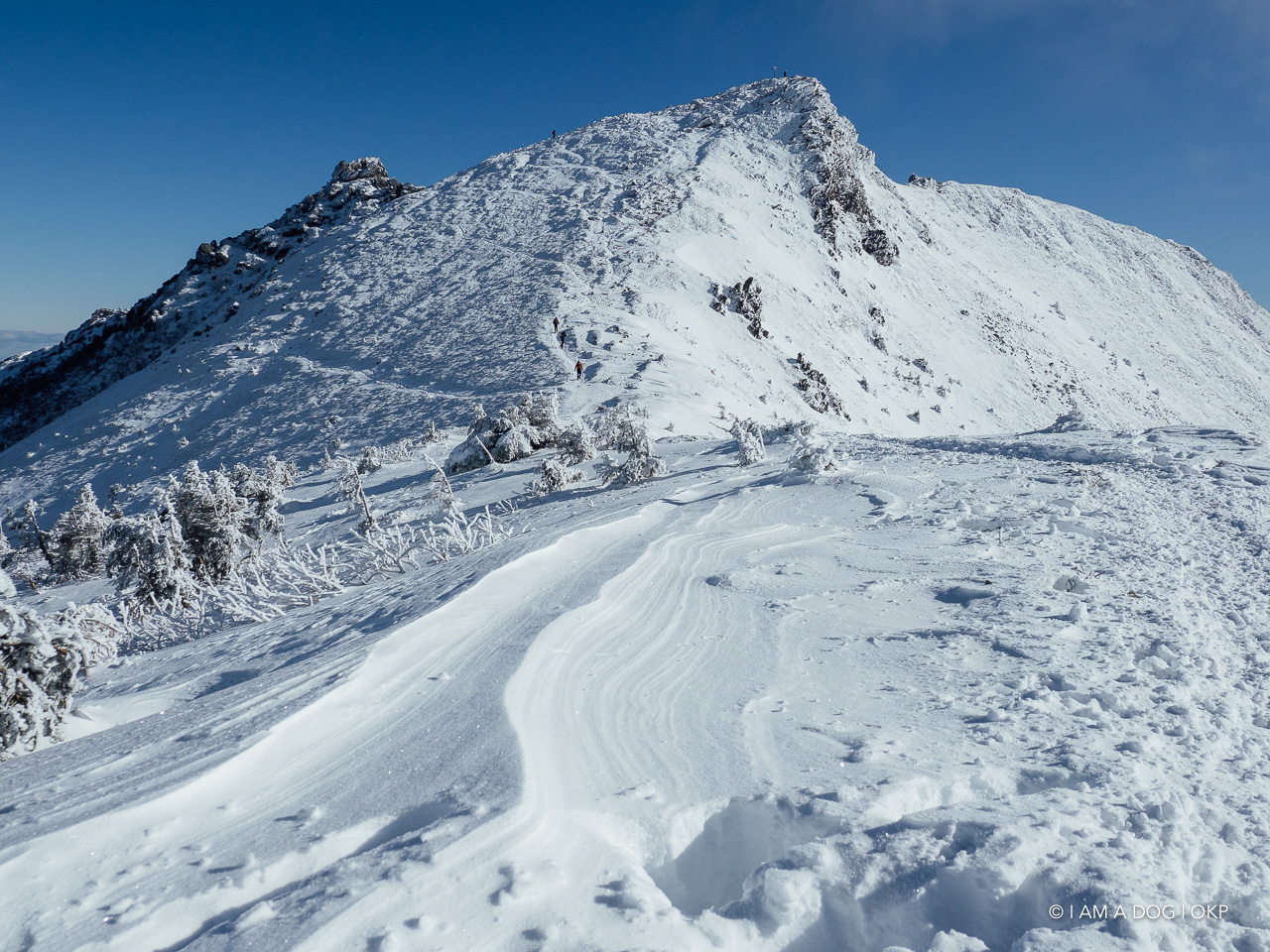 f:id:OKP:20200107144457j:plain