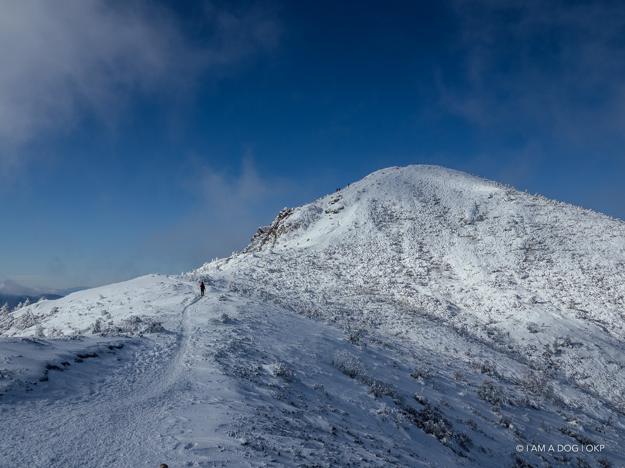 f:id:OKP:20200107144504j:plain