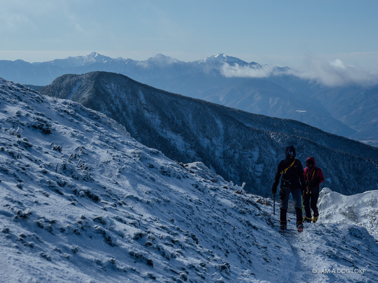 f:id:OKP:20200107144513j:plain